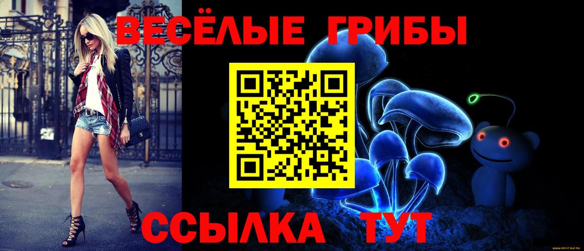 Пермь  Псилоцибиновые грибы мицелий  Вход с VPN 
